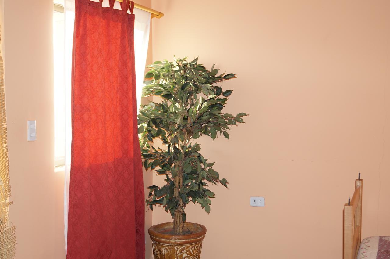 Hostal Intipara Σαν Πέδρο ντε Ατακάμα Εξωτερικό φωτογραφία